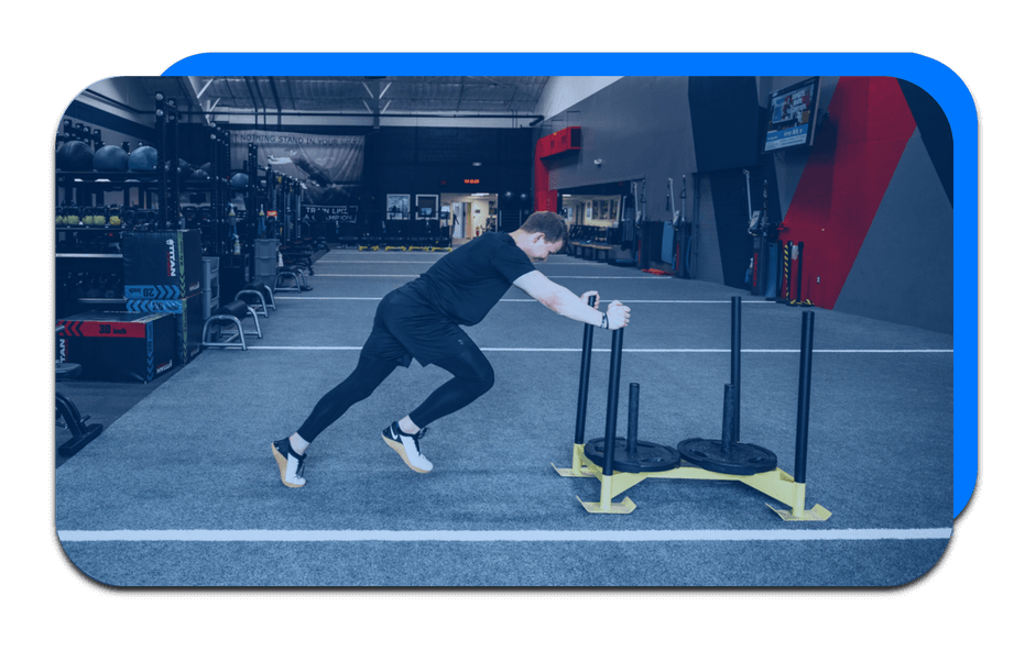 Apex Training Program graphics